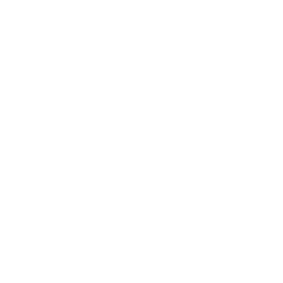 Alpha Jiu-Jitsu